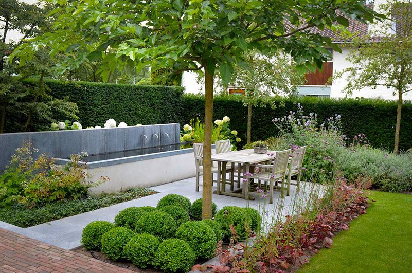 Kleine moderne tuin | Tilburg | Breda | Groenseizoen