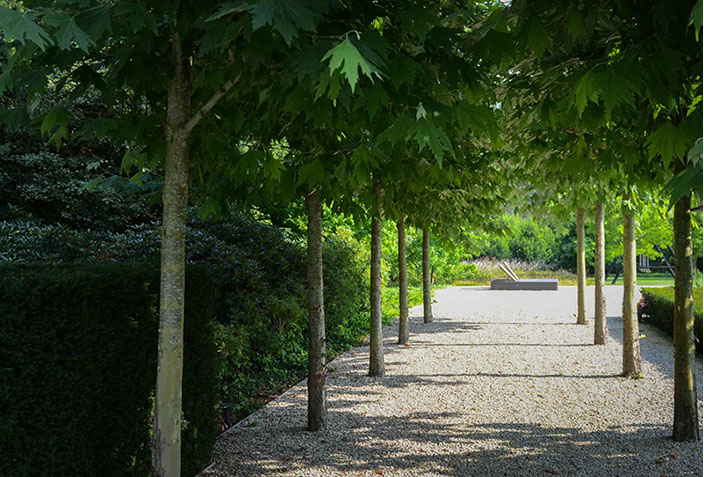 Moderne tuin | Groenseizoen Tuinen 